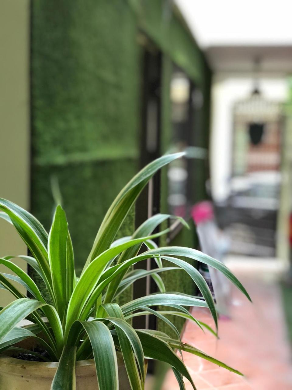 Ventana House Apartment ไฮฟอง ภายนอก รูปภาพ